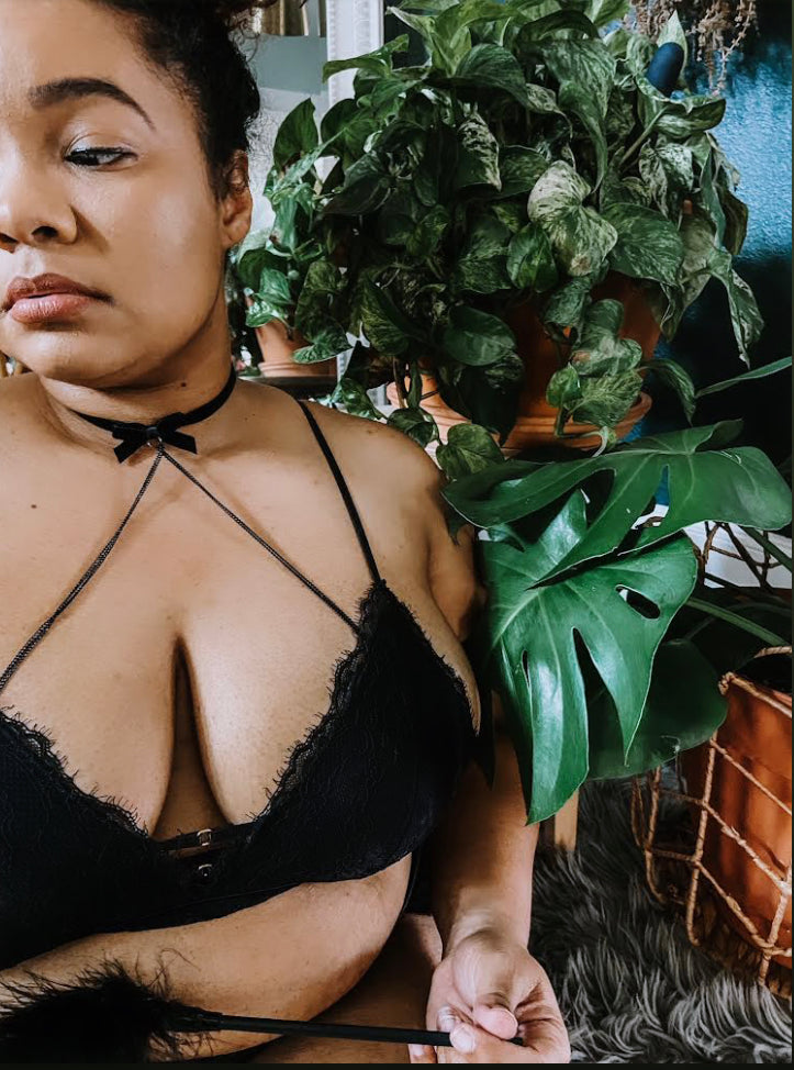 Ficus Tineke Chocker